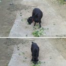 한태농장 이미지