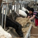 박순자농장 이미지