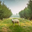 賴及萬方 이미지