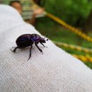 해안초교 병설유치원 이미지