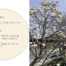 김포통진하이웨이 이미지