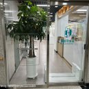 시립병점도서관 이미지