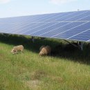 신흥 2 태양광발전소 이미지