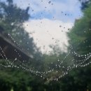 이*동 - 안양시 동안구 학의로 46 | 이*동