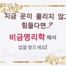 비금 이미지