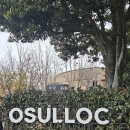 오설록 교차로 이미지