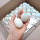 청계복지농장 이미지