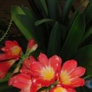 산서초교 이미지