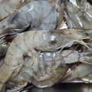 푸른농수산 이미지