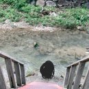 삼촌네펜션 이미지