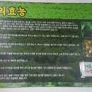 풍년골더덕생삼겹살 이미지