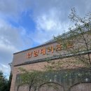 모례 | 경남 사천 강아지랑 1박 2일 여행 숙소 : 남일대리조트 후기 조식 마샹스, 해수월드