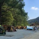 007흥정계곡 반딧불캠핑장 이미지