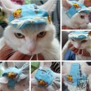 코디잡평생교육원