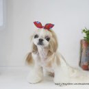 랄라펫살롱 이미지