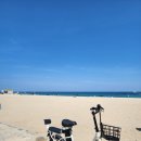 생태명가 이미지