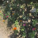 보경한의원 이미지