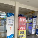 천진낭만 | [제주여행] 우도가는배. 우도 당일치기. 천진낭만 전기차대여 후기