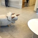 헤아린정형외과의원 이미지