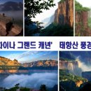 제주태원 이미지