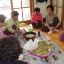 노티 경로당 이미지