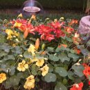 천아트(야간) 이미지