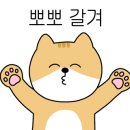 은하수 글램핑 이미지