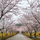 승월경로당 네이버블로그
