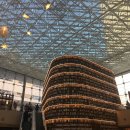 스타필드 코엑스몰 ⭐️ 삐에로쑈핑, 라템, 미니어처 구경