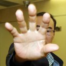 세무그룹내일처럼 이미지