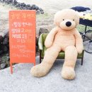 다민농장 이미지