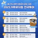 뮤지컬 하이파이브 | 에그박사 뮤지컬 해적 보물섬의 비밀 솔직 후기