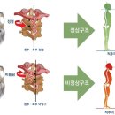 바른몸번지플라잉발레핏 네이버블로그