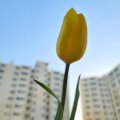 마이글로우박스 이미지