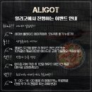 알리고 | 맛집 추천] 용두동 파스타가 맛있는 알리고 (ALIGOT) 후기 (feat. 메뉴, 분위기, 예약, 주차, 화덕피자)