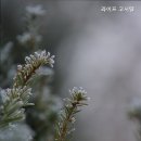 현대고시텔 이미지