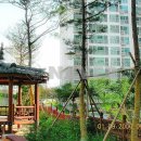 피오레공인중개사사무소 이미지