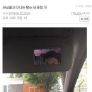 어쩔거야 | 내돈내산_스킨 보톡스 부작용 후기 (내 눈썹 어쩔거야/말많음)
