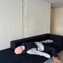 오포짓 스탠다드(OPPOSITE STANDARD) 이미지