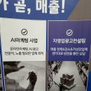 포인트광고사