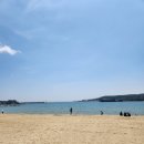 (부산여행3) 일광해수욕장-해운대밀면-오륙도-황령산야경-광안대교뷰해린횟집