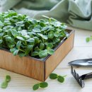 수만농장 이미지