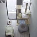 포레스트 캣호텔 이미지