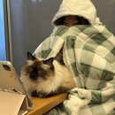 스물하나다뿅