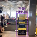 한국지엠 기장동부지정서비스 | 미국생활 - 초저가 스프릿 항공 (Spirit Airlines) 타고 미국 여행한 후기