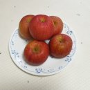 유애플 이미지