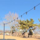 동촌6길 이미지