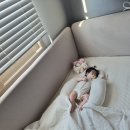 레브랑 | 레이디가구 레브 데이베드 안전가드 매트리스 설치 사용 내돈내산 후기