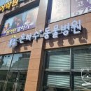 은하수 동물병원 네이버블로그