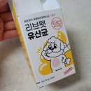 멍냥이의 하루